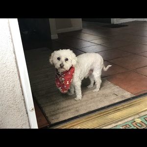 Meet your Posher, Wallace